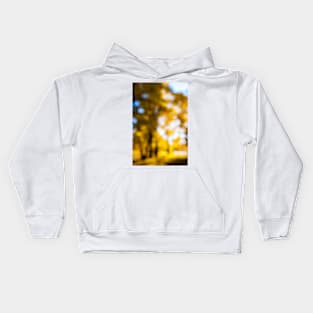 Defocused nature background Kids Hoodie